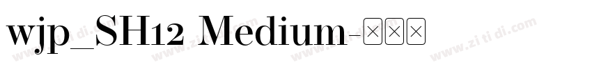 wjp_SH12 Medium字体转换 wjp_SH12 Medium字体转换